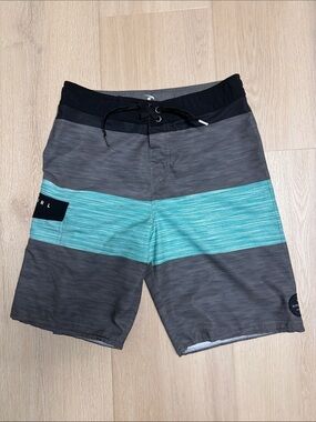 Rip Curl Men's Gray & Teal Stripe Board Shorts